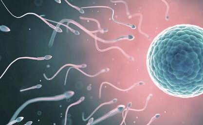 做三代试管一般几次能成功？附提高三代试管成功率的方法