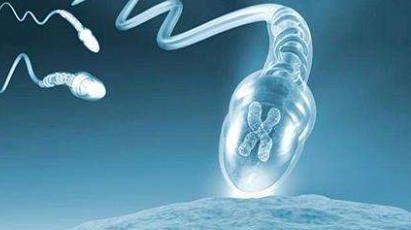 2026藏历年份三代试管婴儿如何充电？看完你就知道贵不贵了