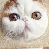 在射洪市做试管婴儿长方案周期需要多久？超长方案促排流程是怎么样的？