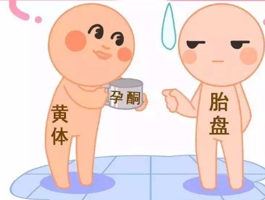 睾丸囊肿影响试管成功率？积极治疗助力好孕！